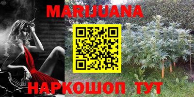 спайс Кинель