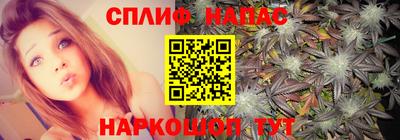 спайс Кинель