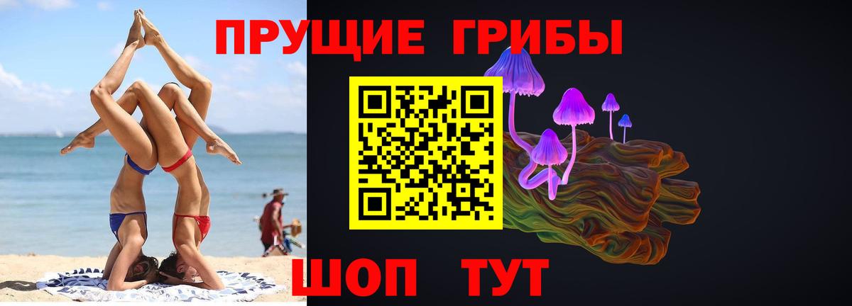 Псилоцибиновые грибы GOLDEN TEACHER  Вход с VPN  Костомукша 